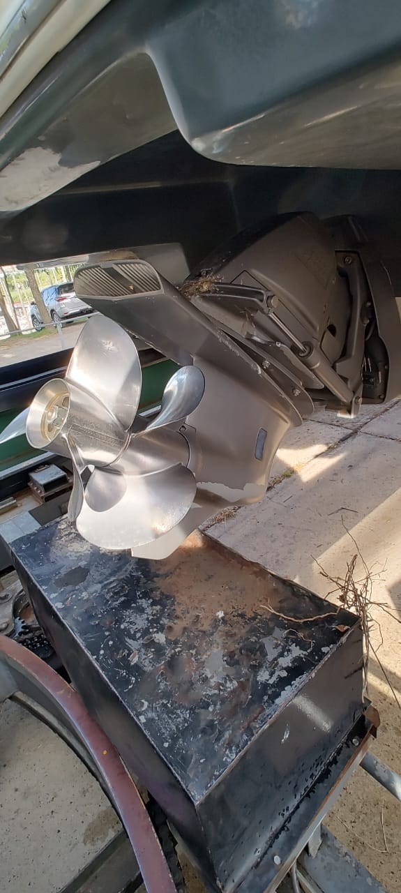 Canestrari Cuddy 245 2015 Volvo 270 DP